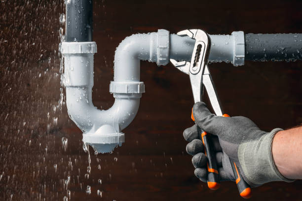 Professional Plumbing technician working in Clear Brook, VA